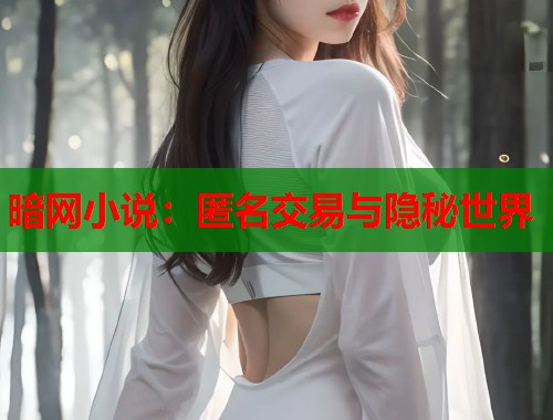 暗网小说：匿名交易与隐秘世界  第2张