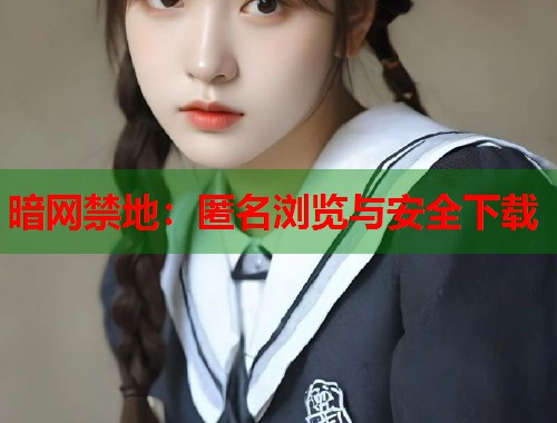 暗网禁地：匿名浏览与安全下载  第1张