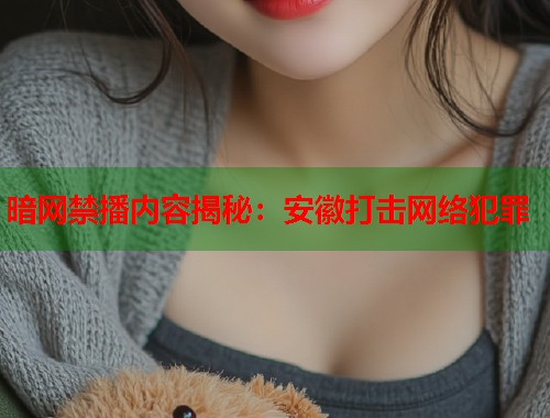 暗网禁播内容揭秘：安徽打击网络犯罪  第2张