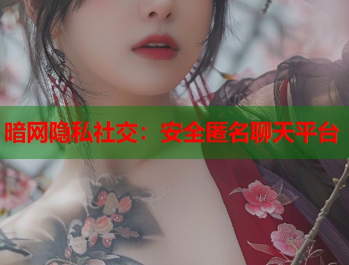 暗网隐私社交：安全匿名聊天平台  第1张