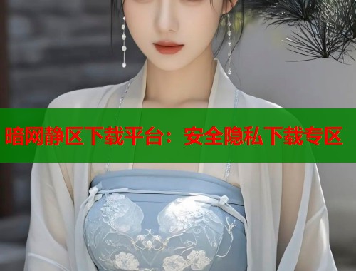 暗网静区下载平台：安全隐私下载专区  第1张