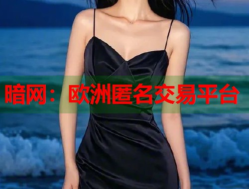 暗网：欧洲匿名交易平台  第1张