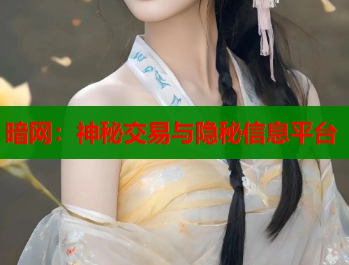 暗网：神秘交易与隐秘信息平台  第1张