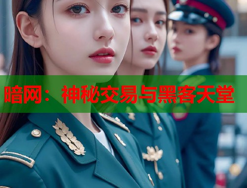 暗网：神秘交易与黑客天堂  第1张