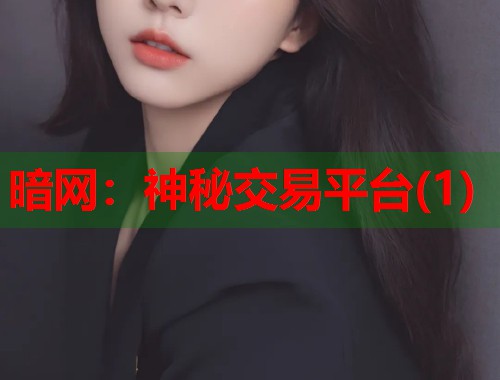 暗网：神秘交易平台(1)  第1张