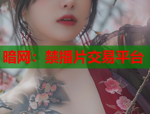 暗网：禁播片交易平台  第1张