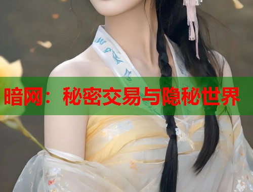 暗网：秘密交易与隐秘世界  第2张