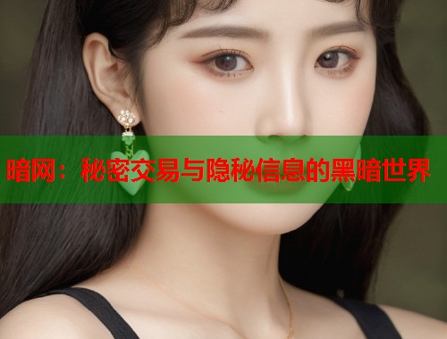 暗网：秘密交易与隐秘信息的黑暗世界  第2张