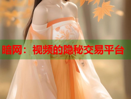 暗网：视频的隐秘交易平台  第1张