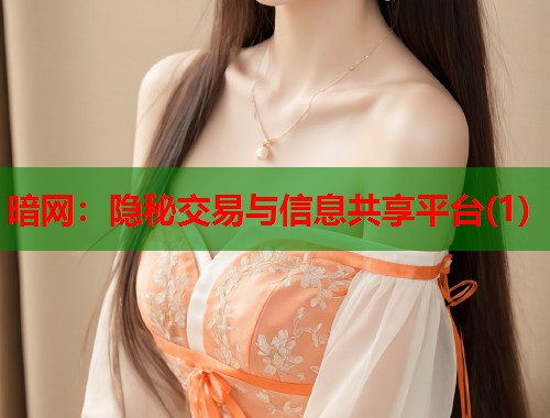 暗网：隐秘交易与信息共享平台(1)  第1张