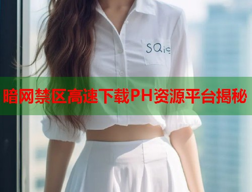 暗网禁区高速下载PH资源平台揭秘  第1张