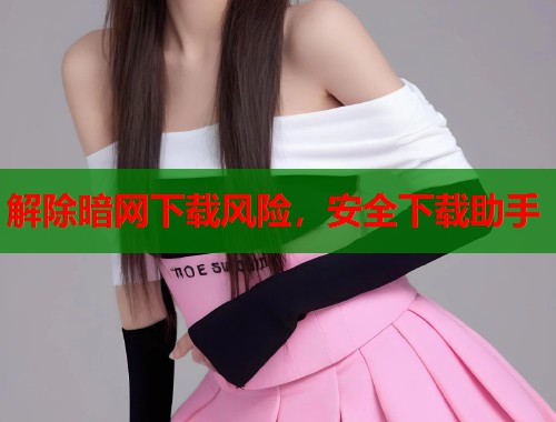 解除暗网下载风险，安全下载助手  第2张
