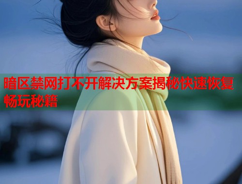 暗区禁网打不开解决方案揭秘快速恢复畅玩秘籍  第2张