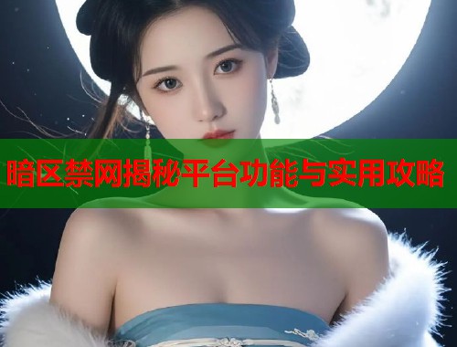 暗区禁网揭秘平台功能与实用攻略  第1张