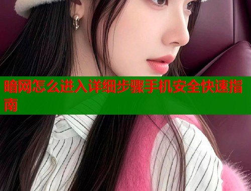 暗网怎么进入详细步骤手机安全快速指南  第2张