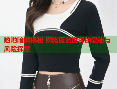 哟哟暗网揭秘 网络匿名世界的隐秘与风险探索  第1张