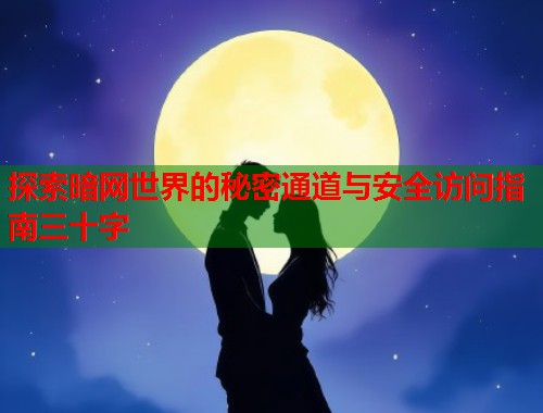 探索暗网世界的秘密通道与安全访问指南三十字  第1张
