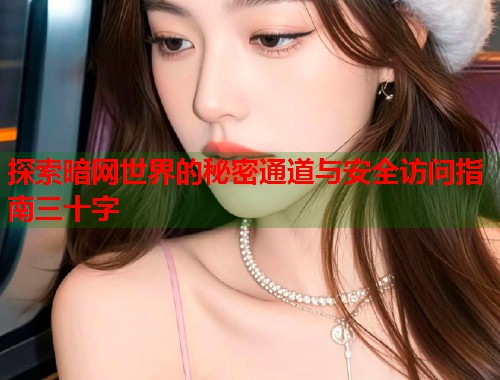 探索暗网世界的秘密通道与安全访问指南三十字  第2张