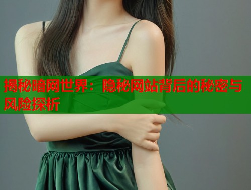 揭秘暗网世界：隐秘网站背后的秘密与风险探析  第1张