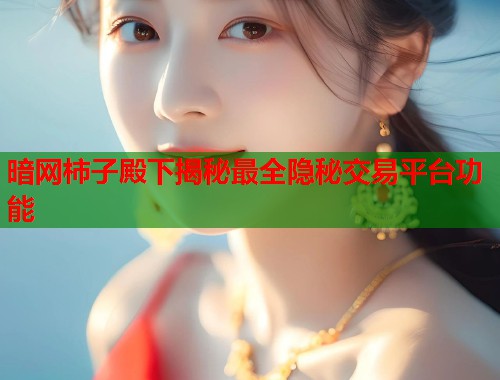 暗网柿子殿下揭秘最全隐秘交易平台功能  第2张