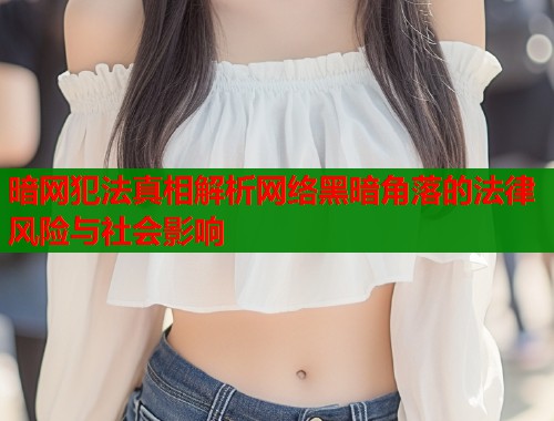 暗网犯法真相解析网络黑暗角落的法律风险与社会影响  第2张