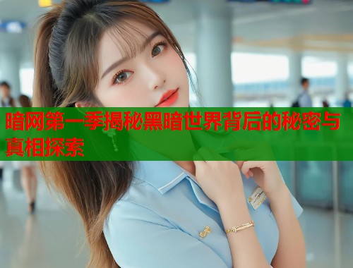 暗网第一季揭秘黑暗世界背后的秘密与真相探索  第1张