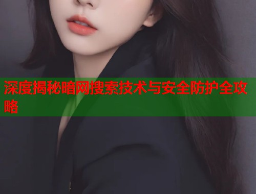 深度揭秘暗网搜索技术与安全防护全攻略  第2张