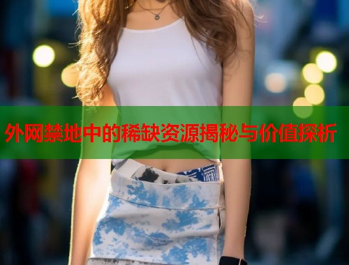 外网禁地中的稀缺资源揭秘与价值探析  第1张