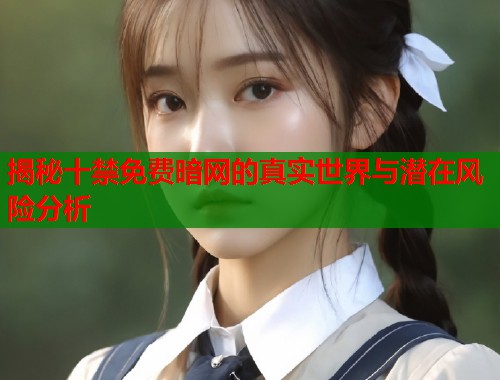 揭秘十禁免费暗网的真实世界与潜在风险分析  第2张