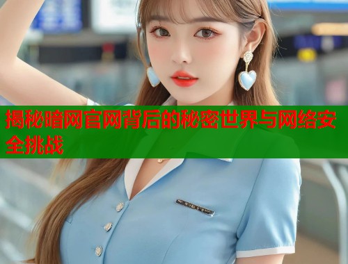 揭秘暗网官网背后的秘密世界与网络安全挑战  第1张