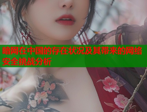 暗网在中国的存在状况及其带来的网络安全挑战分析  第1张