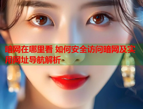 暗网在哪里看 如何安全访问暗网及实用网址导航解析  第1张