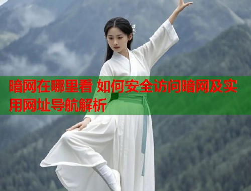暗网在哪里看 如何安全访问暗网及实用网址导航解析  第2张